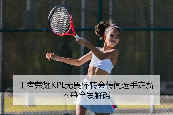王者荣耀KPL无畏杯转会传闻选手定薪内幕全景解码